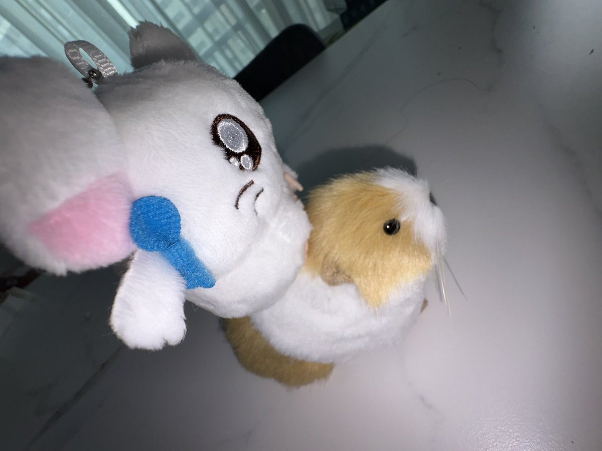 1ovrwoni's tweet photo. 꾸이찌꾸이찌 https://t.co/DINIHohDP3