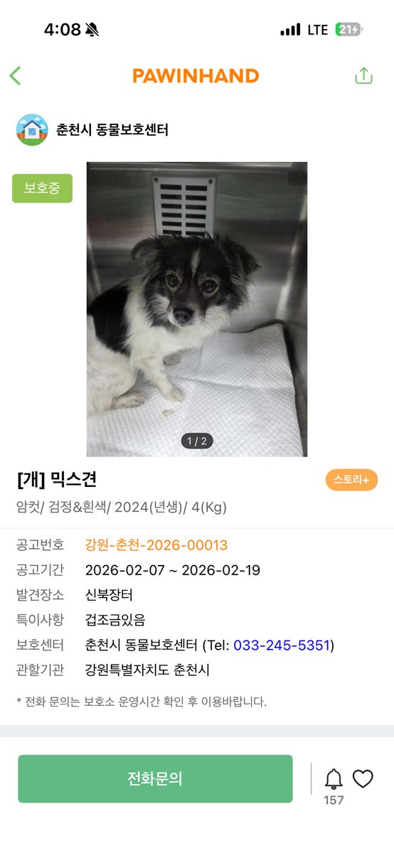 findmypaw's tweet photo. 안경 쓰고 너무 이쁜 공쥬 강아지
5개월째 입양문의 없대요

신중한 입양 문의 부탁합니다
강원 춘천보호소 033-245-5351 https://t.co/3bLZnd0CFr