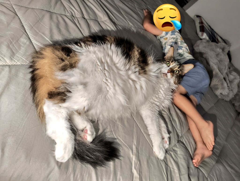 Teo_coon's tweet photo. 表面積と遠近法でどデカく見えるテオ（with坊っちゃん） https://t.co/MwCZyHaCs5