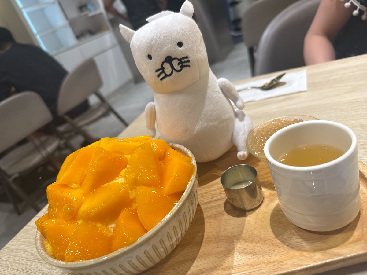 🍖MAYA🍖 (@MAYACHIKUWA) / Posts / X