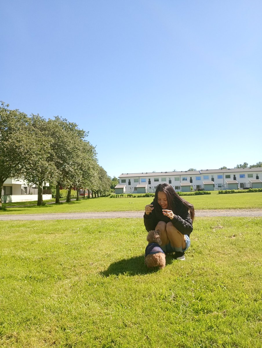 mysMile1515's tweet photo. ☀️🌱🌳 https://t.co/eez3IKtTft