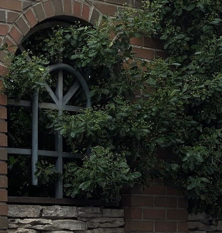 gardeniavibe's tweet photo. https://t.co/z9HpnPhKN9