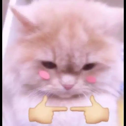 ekathlis's tweet photo. @khaslanas_sun aww, that's actually so sweet... thank you https://t.co/dtxusSxBtH