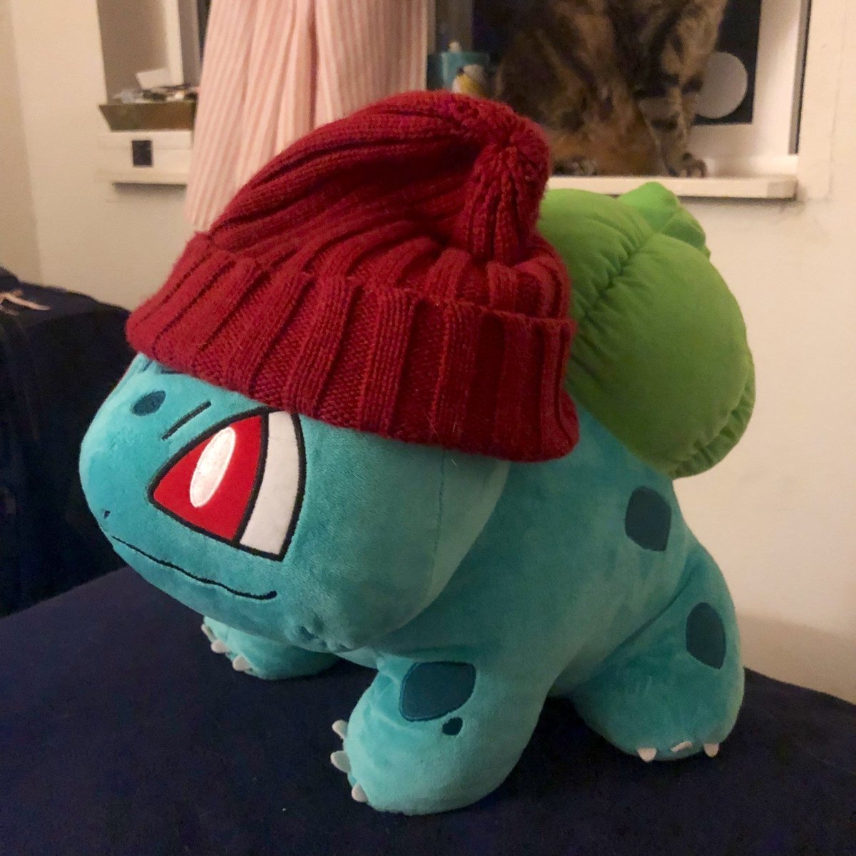 PKMN_twt's tweet photo. How do Bulbasaurs wear hats? https://t.co/xiI8yDeuVm
