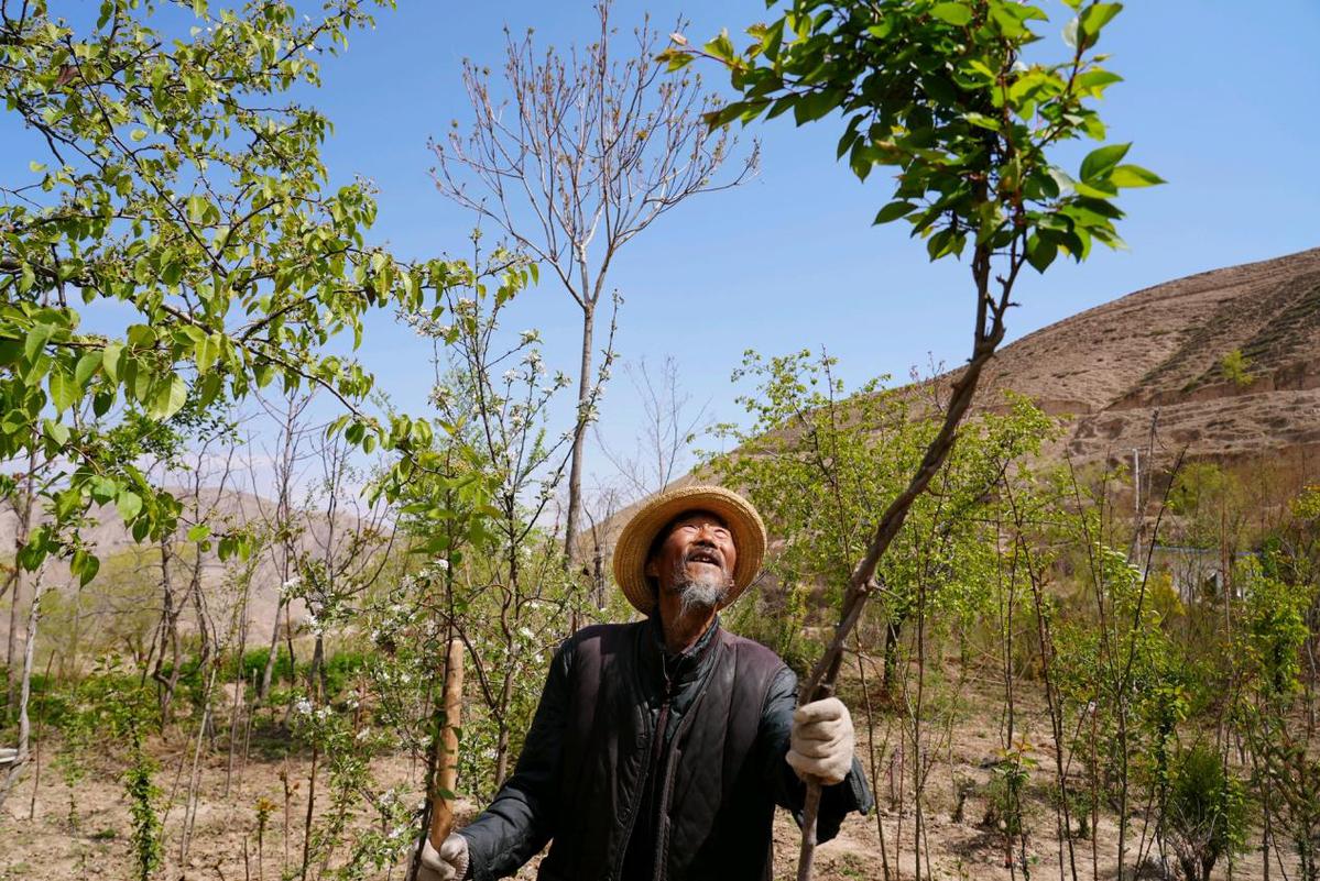 ExploreGansu's tweet photo. 👨🌾At 87 years old, Li Zhitai is still planting hope.
🌳🌳He began planting trees at 74 and, over the past 13 years, has transformed more than 300 mu (20 hectares) of barren hills into forests in the mountains of Yongjing, Linxia. https://t.co/inxuygI4K6