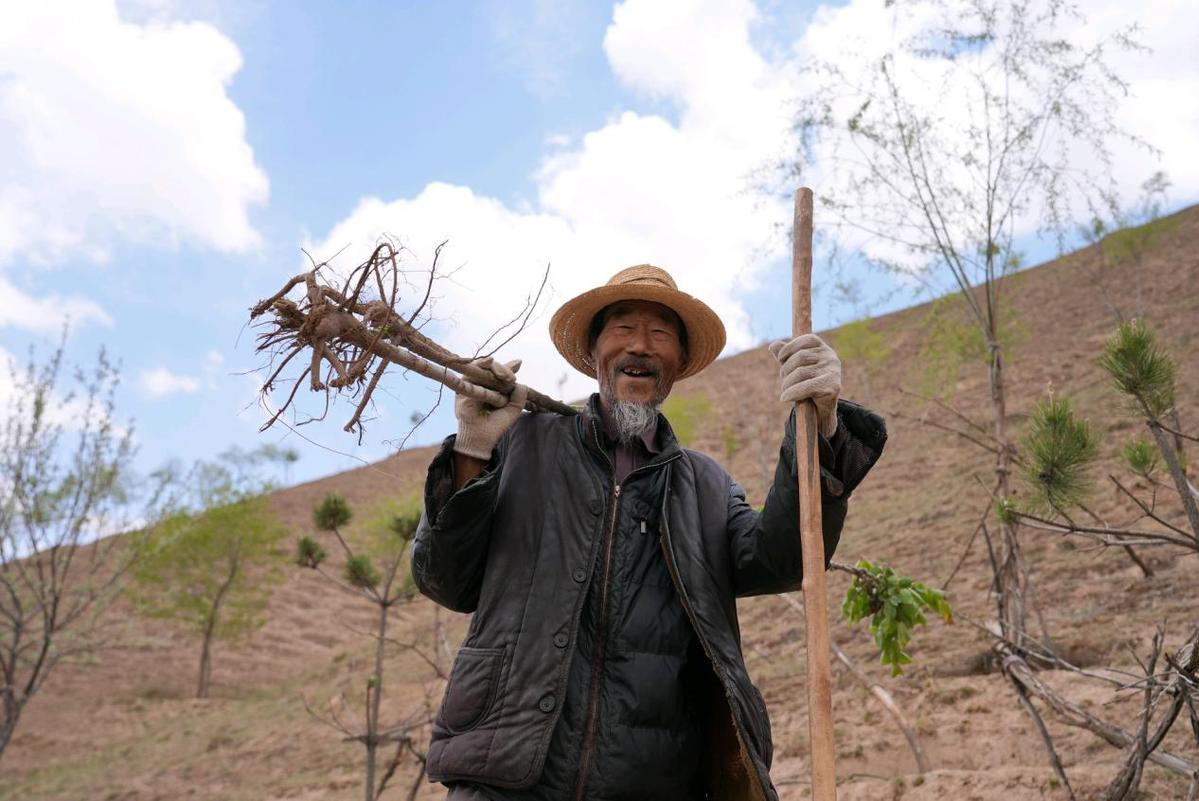 ExploreGansu's tweet photo. 👨🌾At 87 years old, Li Zhitai is still planting hope.
🌳🌳He began planting trees at 74 and, over the past 13 years, has transformed more than 300 mu (20 hectares) of barren hills into forests in the mountains of Yongjing, Linxia. https://t.co/inxuygI4K6