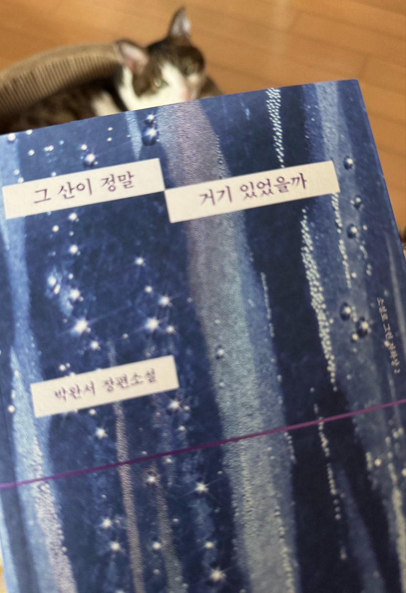 돌멩이 tweet media