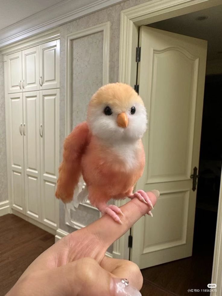 carinn ˙ᵕ˙🧃 tweet media