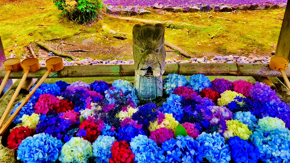 iris___yell's tweet photo. 足羽神社
福井市足羽
継体天皇・阿須波神などが祀られる。
阿須波神 -は足羽神、足場の神
太陽、月、北極星の三光の紋。全国でも3社しかない紋

両陛下を敬します。人々の心をひとつに示してくださる、それが皇室だと思っています。 https://t.co/oStPNPuvzK