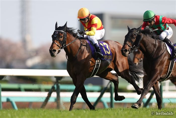 keibalab's tweet photo. 【雀神伝説】
日曜の小倉5R・2歳新馬では、キタサンブラック産駒のジャンゴッドが川田将雅騎手を背にデビュー。半兄は皐月賞馬ジャスティンミラノという良血馬です。

馬名意味は"麻雀の神"。大の麻雀好き、藤田晋オーナーの所有。
#ジャンゴッド #川田将雅 #藤田晋
https://t.co/tRpagusFYw https://t.co/H0kCUzA1jl