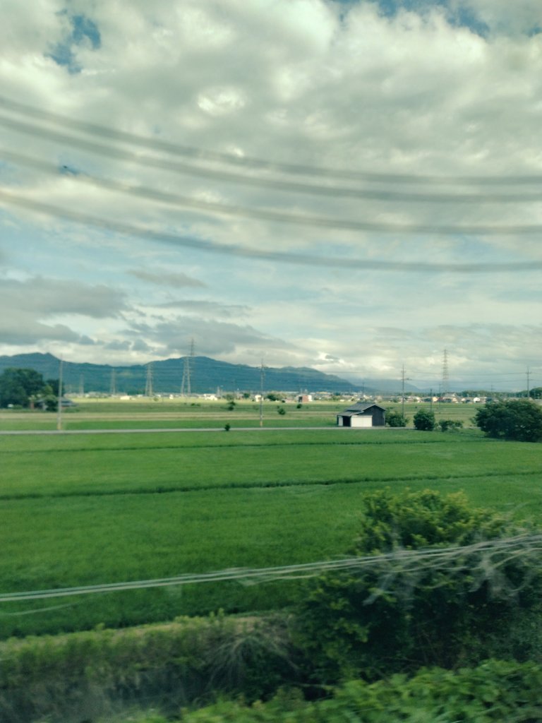 ko616ma's tweet photo. 久々に窓側に座ったから、景色が良く見えるなぁ。青い田んぼ、落ち着くなあ。今日は雲も低い。空の、奥行きが見えて広く高く感じる。眠いのに眠れない。 https://t.co/0QevQpCvDM