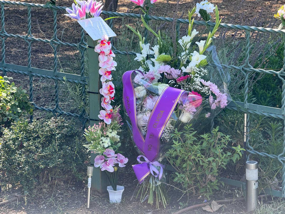 Ramonjurado's tweet photo. Cumplimos un año más del asesinato de nuestra vecina Cristina.

Su recuerdo sigue muy presente en Parla y nos recuerda que detrás de cada víctima hay una vida truncada, una familia rota y una ciudad que nunca olvida.

Por ellas renovamos nuestro compromiso de seguir trabajando para erradicar esta terrible realidad desde la educación, la prevención, la protección y la igualdad.

Compartimos el sentir de su familia y de los vecinos, frente a crímenes tan atroces, la justicia a veces se siente insuficiente e injusta para reparar tanto dolor.

💜Ni un paso atrás.