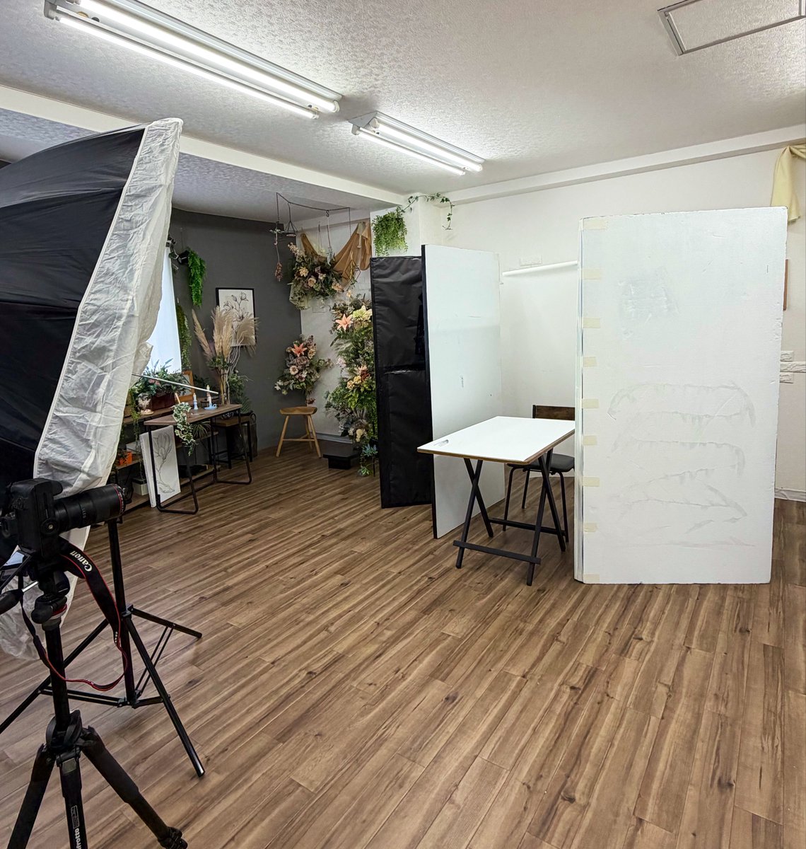 7a1226's tweet photo. 本日📷⟡.· https://t.co/cfAM8whKek