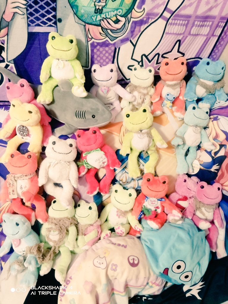 Neuro0305's tweet photo. 🐸#かえるのピクルス #カエルのピクルス🐸
#ぬいぐるみ ２０人に成ったよっ❀(´ω`*)❀
ケロちゃんズめっちゃかわいいっ(っ´ω`c)♡ https://t.co/ncwxiZVW7o