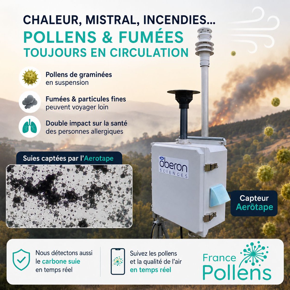 FrancePollens's tweet photo. 🌡️ Fortes chaleurs, Mistral… les pollens continuent de circuler.

Les fortes chaleurs qui touchent actuellement le sud de la France, associées à un Mistral soutenu, maintiennent les pollens de graminées en suspension dans l’air et les transportent parfois sur de longues distances.

👉 En cette fin de semaine, le risque d’allergie restera moyen sur les 3/4 du pays même si le plus dur est derrière pour les allergiques.

Ces conditions météorologiques favorisent malheureusement aussi le déclenchement de violents incendies dans l’Aude, l’Hérault, le Var, les Bouches-du-Rhône… Une pensée pour les populations touchées et un immense merci aux pompiers mobilisés sur le terrain. 🙏

Même si le vent disperse les fumées et limite parfois leur concentration localement, celles-ci peuvent parcourir plusieurs centaines de kilomètres. Elles contiennent des particules fines (PM10, PM2.5) et du carbone suie, particulièrement nocifs pour la santé respiratoire et cardiovasculaire.

Pour les personnes allergiques, c’est un double effet : pollution + pollens = symptômes souvent plus intenses.

Sur nos capteurs Aerōtape, nous détectons également ces particules de suie en temps réel, ce qui nous permet de mieux informer les personnes sensibles et d’améliorer le suivi de la qualité de l’air.

🚨 Les pollens voyagent vite. Les fumées aussi.

Restez informés et protégez-vous en suivant les niveaux de pollens et la qualité de l’air en temps réel avec l’application France Pollens

#Pollens #QualitéAir #SantéRespiratoire #Incendies #FrancePollens