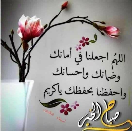 anaserbas's tweet photo. @salm1644 https://t.co/rwJi3zB4ix