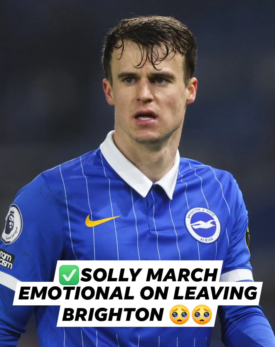 Brighton Albion Fans tweet media