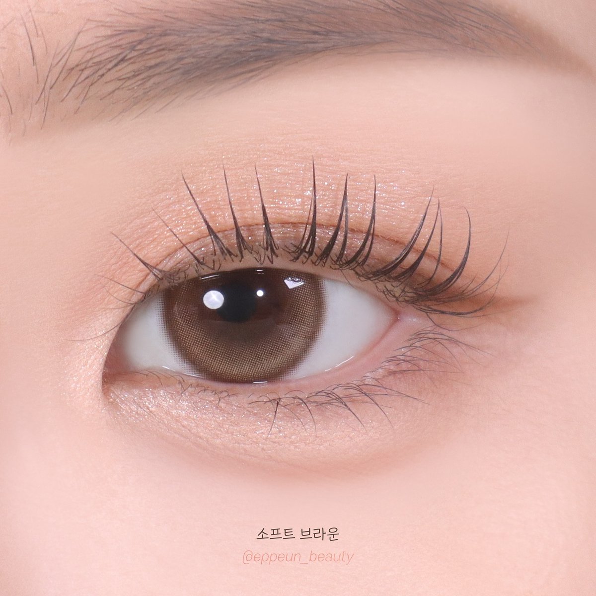 Eotd_jp's tweet photo. 女神フィルターかかったみたい🤎

ふんわりブラウンが瞳に馴染んで
上品なのにちゃんと存在感も◎
盛りすぎないから毎日使いやすいし
どんなメイクにも合わせやすい✨

ナチュラルに垢抜けたい人、これはチェックしてほしい
📝Dione 1Day Soft Brown
🔗https://t.co/IZZcazhxjj

#クッキーメイク https://t.co/gMs57mFdrx