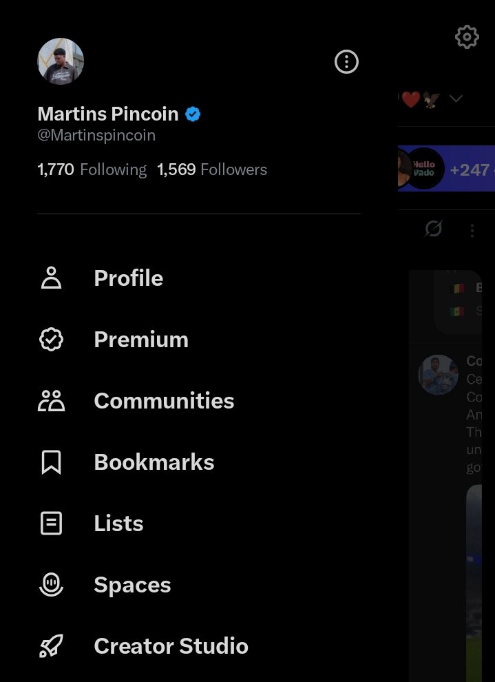 Martins Pincoin tweet media