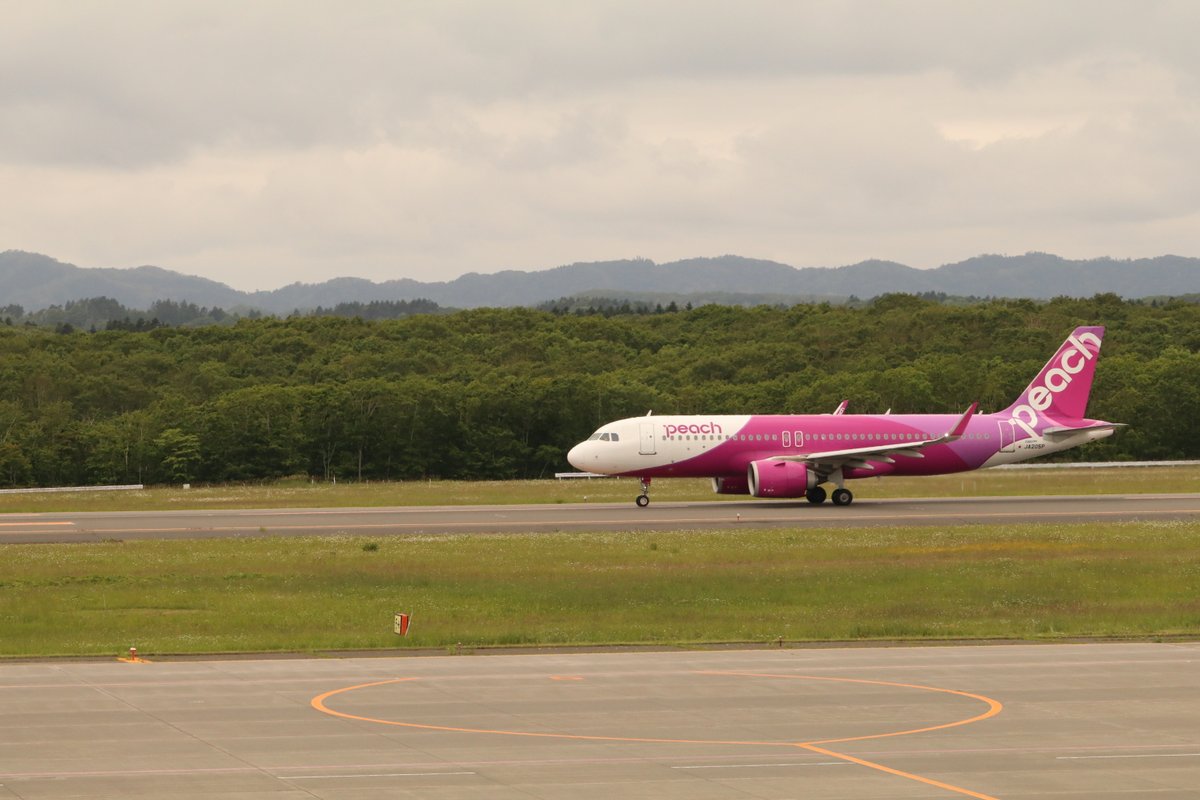 Peach_Aviation's tweet photo. 女満別に続き、今年も本日より釧路空港への期間運航を開始しました。

運航期間は7月2日～9月29日
週4便（火・木・金・日）です🛫

また、期間運航を記念して釧路空港ではさまざまなキャンペーンを実施しています！
内容の詳細は、今後の投稿を楽しみにお待ちください✨ https://t.co/rQLpWPpBvP