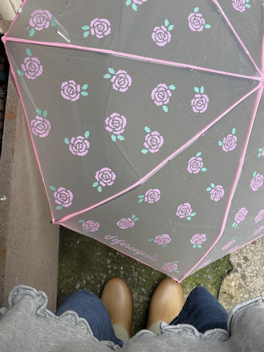 __papillonnoir's tweet photo. 梅雨だからかわいい傘欲しいよーーー欲しかったやつ売り切れた…… https://t.co/ySgbF8n1cy