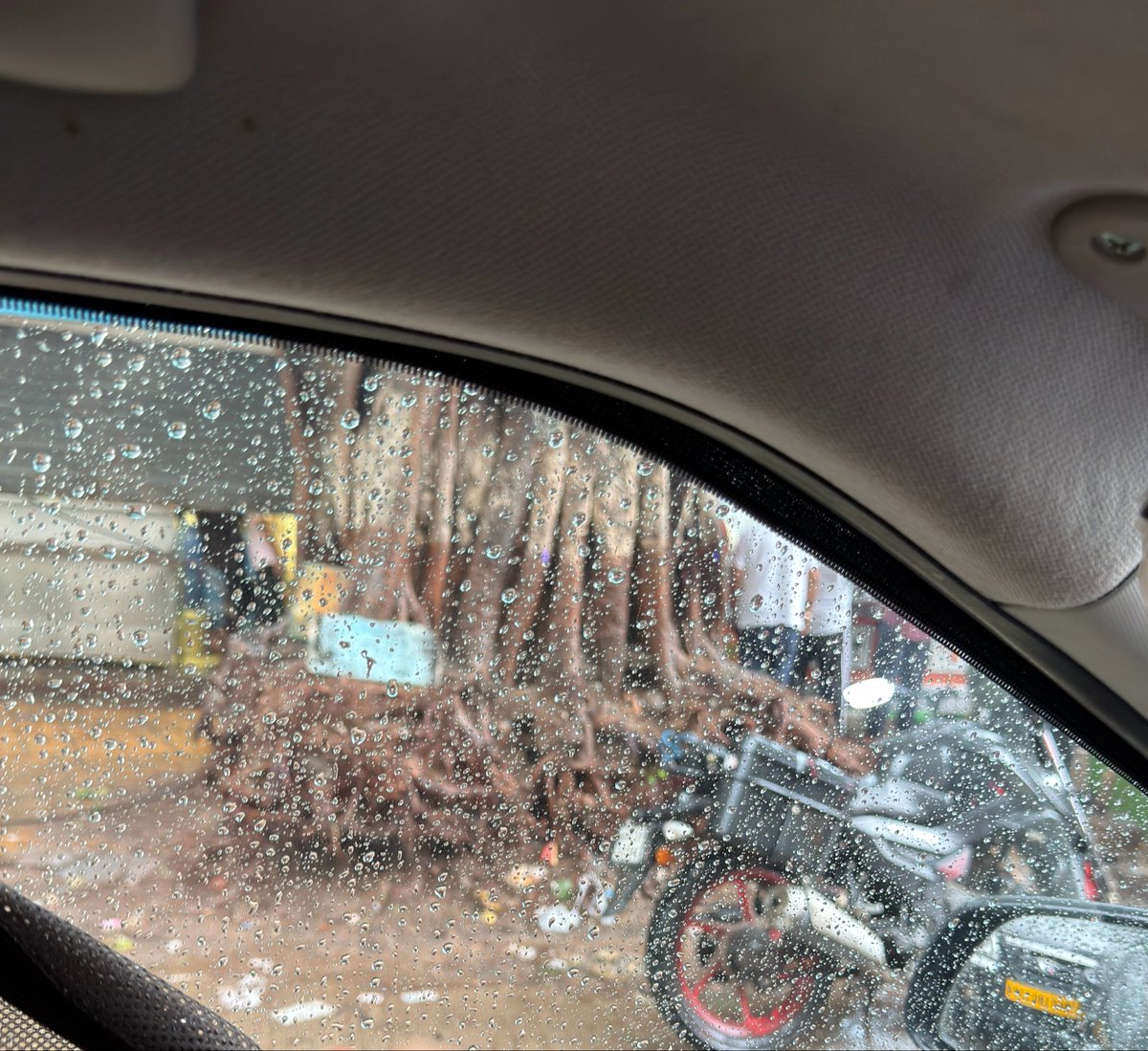 sunilbadsiwal's tweet photo. @RoadsOfMumbai Still there are multiple trees at various locations ready for Great Deadly Fall like this one at Dadar Prabhadevi. @mybmc is Blind https://t.co/ocS8lzhekU