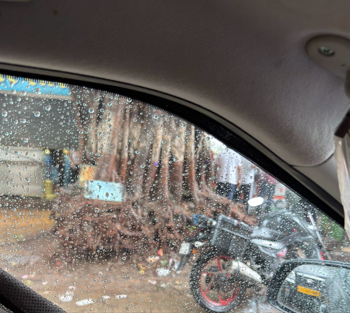 sunilbadsiwal's tweet photo. @RoadsOfMumbai Still there are multiple trees at various locations ready for Great Deadly Fall like this one at Dadar Prabhadevi. @mybmc is Blind https://t.co/ocS8lzhekU