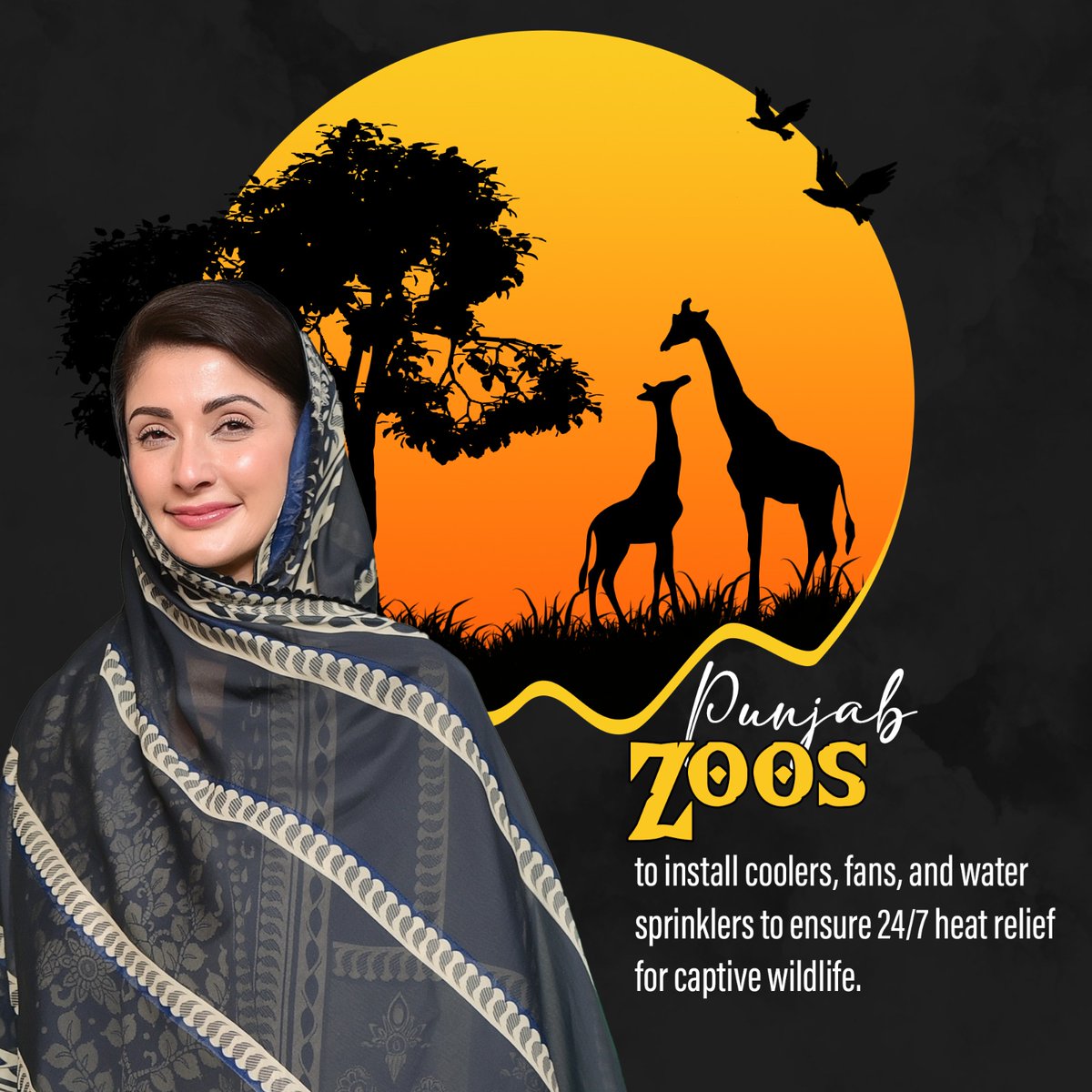 PMLN106's tweet photo. Punjab Zoos to install coolers, fans, and water sprinklers to ensure 24/7 heat relief for captive wildlife. https://t.co/dHCtyYpwOu