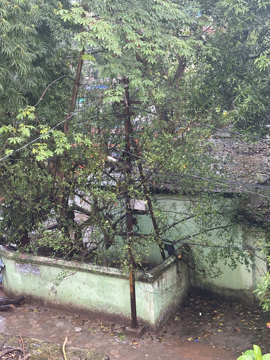 Sameer_Strange's tweet photo. @TpcodlT81047 @bmcbbsr Hey! This Lamp post is Continuously sparking due to rain causing unsafe environment. Also the wiring here are not properly insulated and are opened visible causing sparking.  Location: Behind Bhagabati Temple, Jayadev Vihar. Kindly resolve this https://t.co/UYCY2Vt2i0