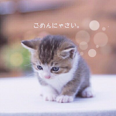 rocketsocket_'s tweet photo. 7/2(木)

体調不良のためお休みさせていただきます🙇‍♂️ https://t.co/VZJS0k0auo
