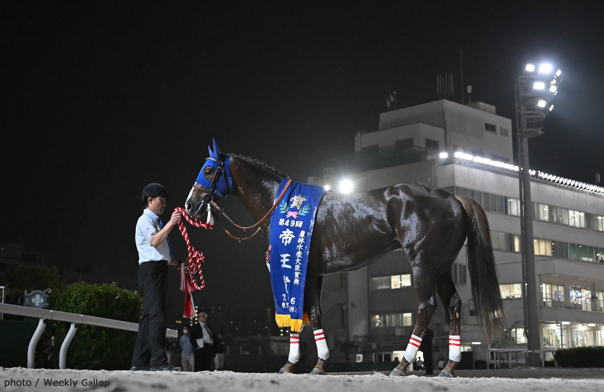 northernfarm_jp's tweet photo. ◆ 帝王賞 ◆

昨日の帝王賞で生産馬のミッキーファイトが優勝し、史上2頭目となる連覇を果たしました。

温かいご声援をいただき、ありがとうございました。
https://t.co/pJGQnlooi3 https://t.co/5uUqHiKigk