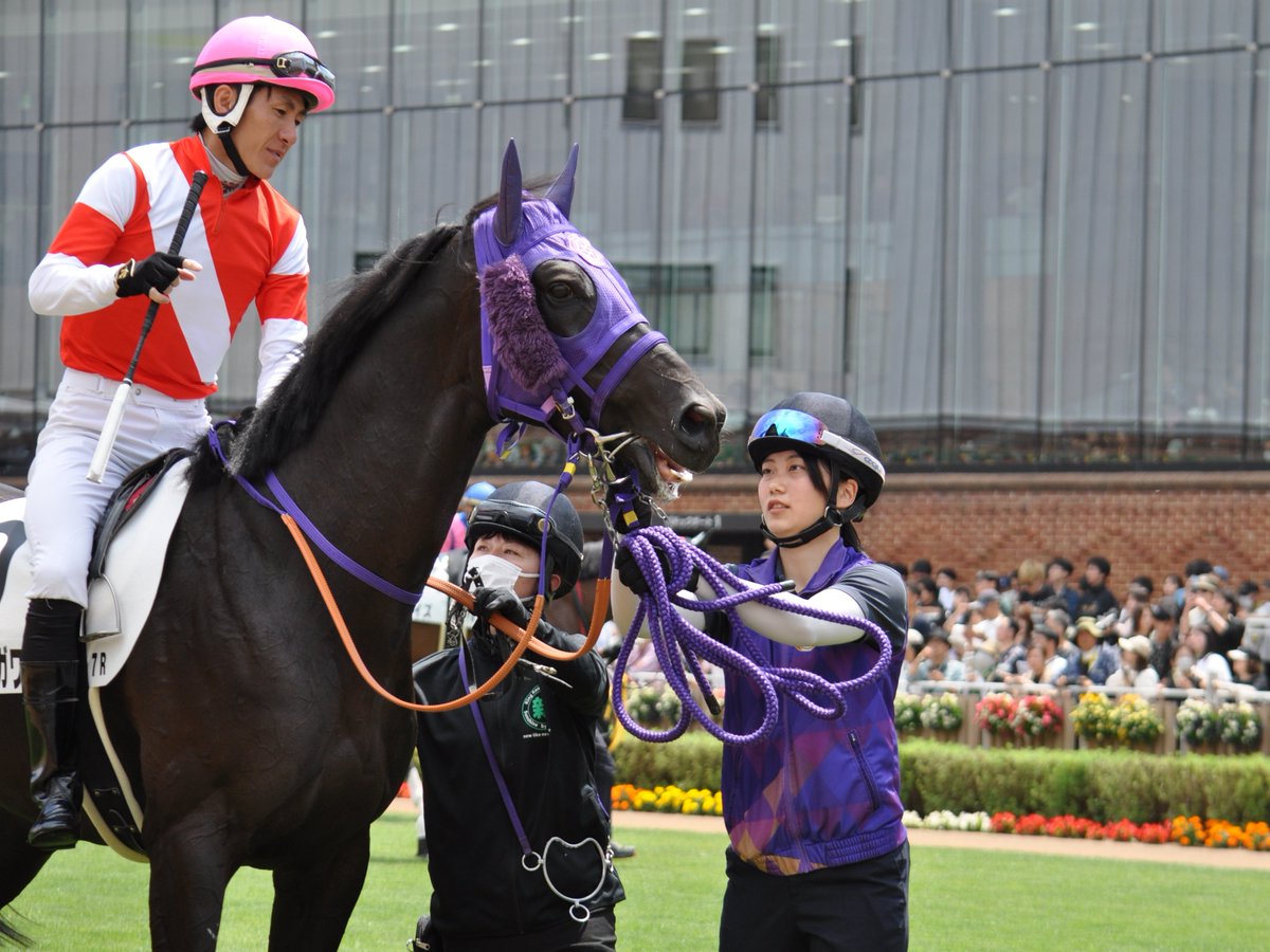 umatsuk_hkd3's tweet photo. 夏競馬に来てくれる女性の助手さんたち
年々増えている気がします
さらなるご活躍が楽しみです https://t.co/xC5xKUiAf3