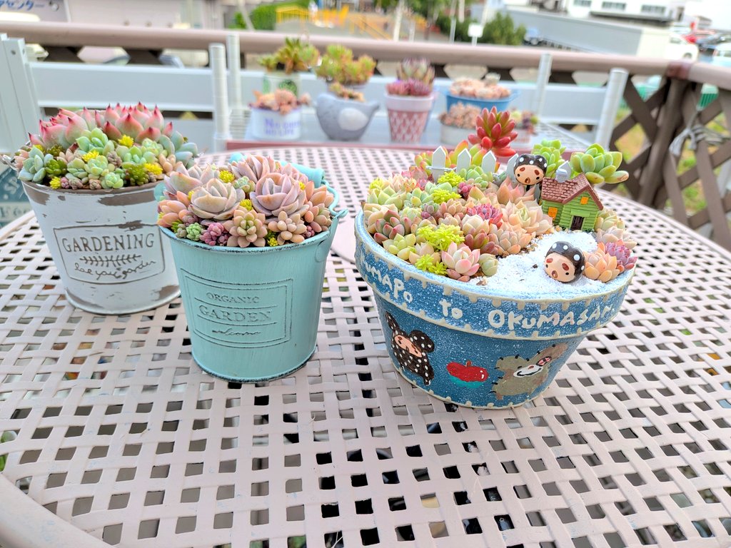 petitys's tweet photo. 久しぶりに多肉の寄せ植え会 https://t.co/RSwhMBdAC6