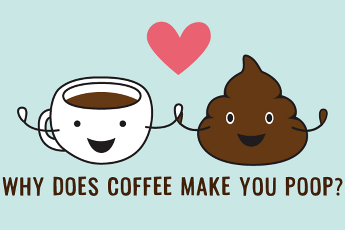 coffeehariocorp's tweet photo. コーヒーとうんこの不思議な関係
https://t.co/eH4zWdJLUb https://t.co/OLexJGCpZh