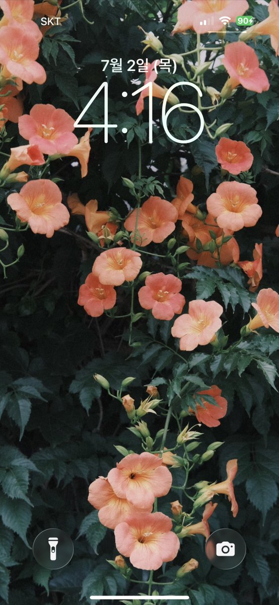 lolounerose's tweet photo. 🧡 능소화 배경화면 공유 🧡

포스타입에서 이틀간 무료공유 .. 
처음 올려보는데 앞으로도 종종
배경화면 공유해볼게 🌟
적용해보고 인증샷 남겨주기 .. 🫶🏻 https://t.co/EyvQ9cQLOa