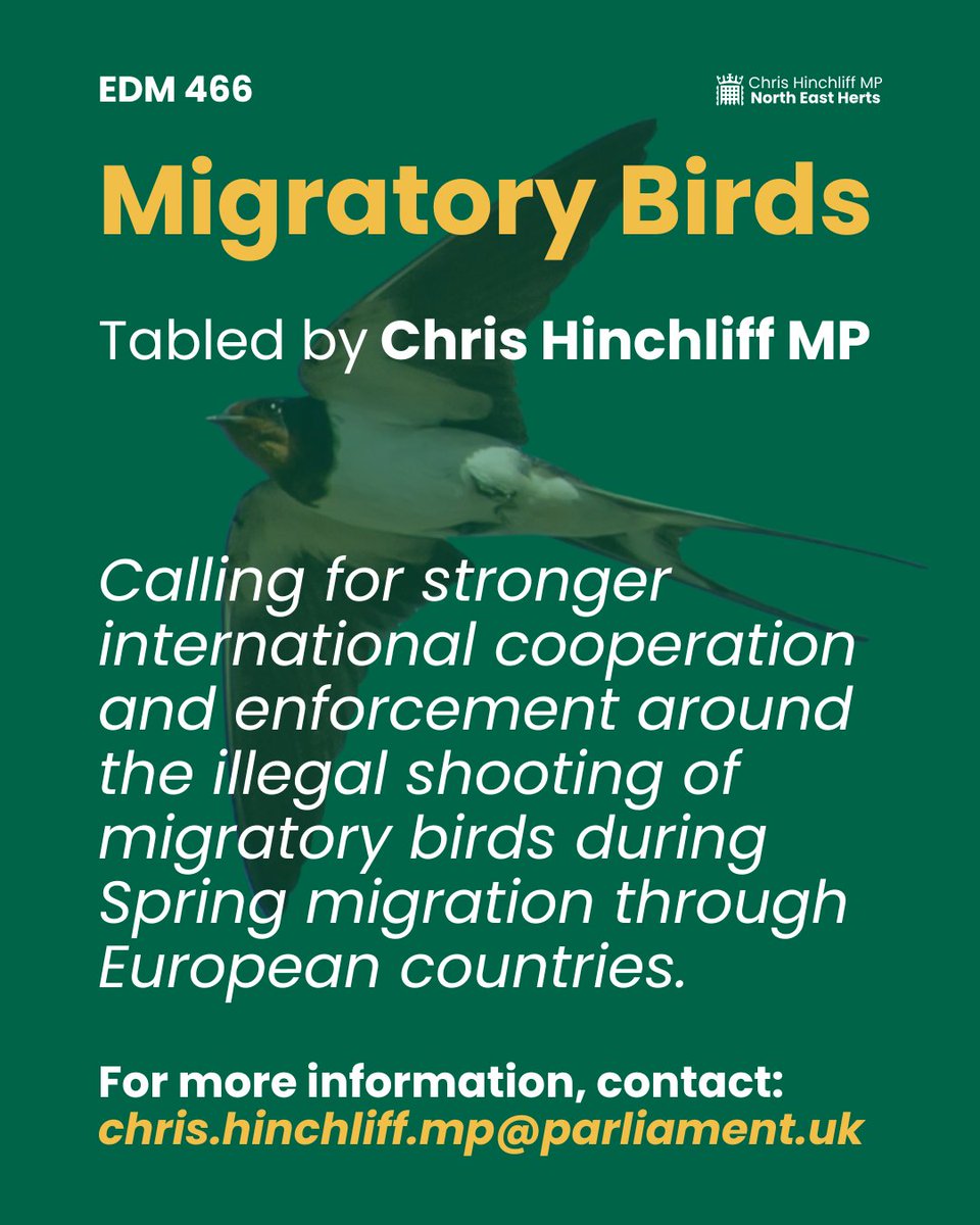CHinchliffMP's tweet photo. I’ve tabled a Parliamentary motion calling for cooperation to stop the illegal shooting of migratory birds as they travel through Europe.

The lesson from past extinctions is wildlife doesn’t recognise borders and conservation only happens if we work with our neighbours. https://t.co/LB0Me9plvy