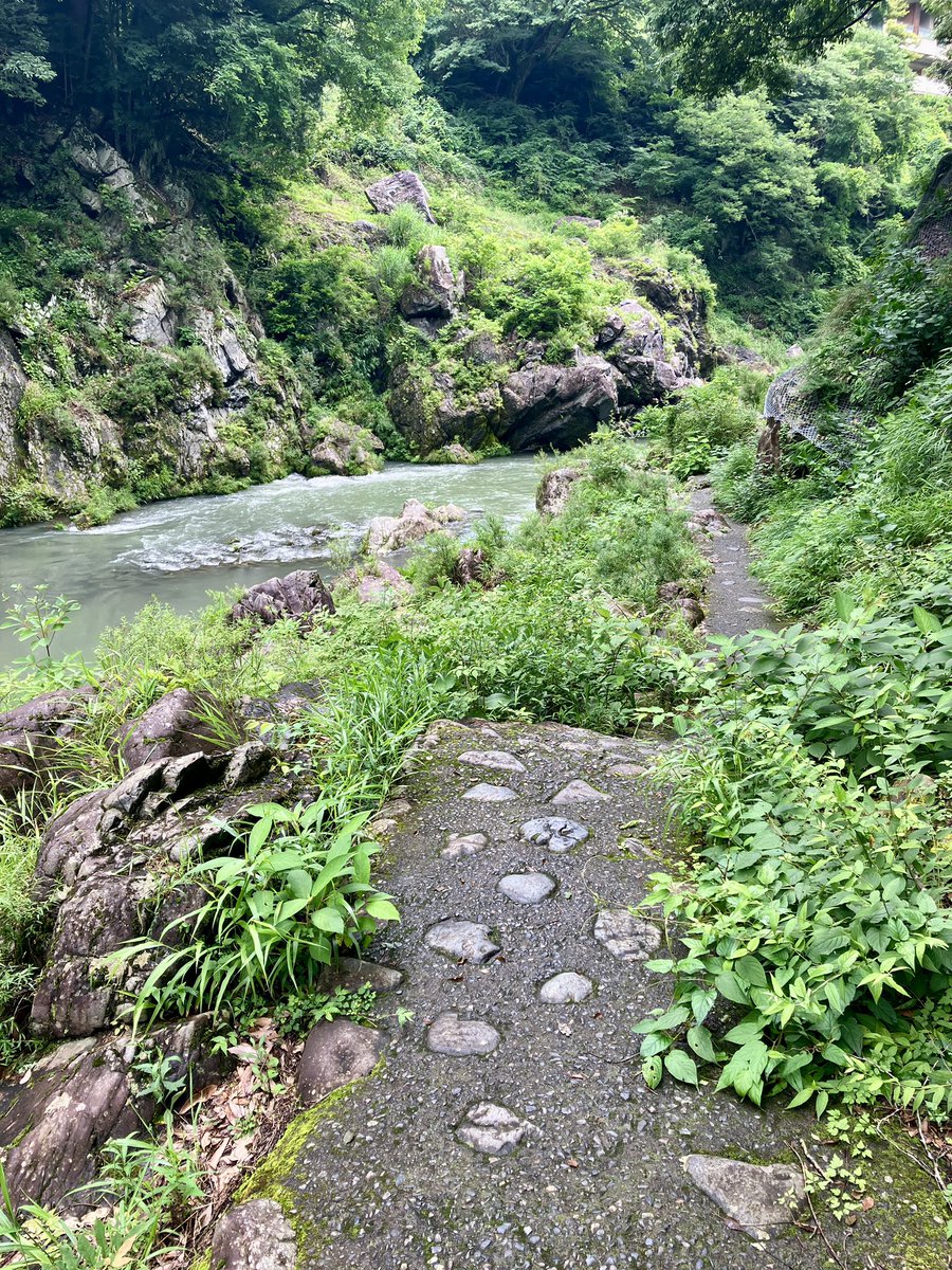 tanzaburo's tweet photo. 多摩川沿いを歩く奥多摩の人気コース「大多摩ウォーキングトレイル」を歩いて来ました。

古里駅から奥多摩駅まで、3時間程度で楽しめる変化に富んだ渓谷ハイクです。

#奥多摩 #大多摩ウォーキングトレイル #白丸ダム #ohtamawalkingtrail #hiddentokyo https://t.co/0xoUs1AdWi