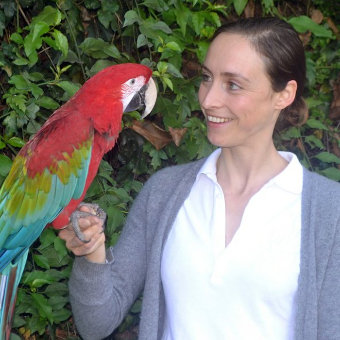 AMAZlNGNATURE's tweet photo. Your parrot might be calling you by your own name

Researchers found many parrots use unique vocal labels for specific people and pets, suggesting they recognize individuals rather than just mimic sounds https://t.co/nfFj4ZnmKG