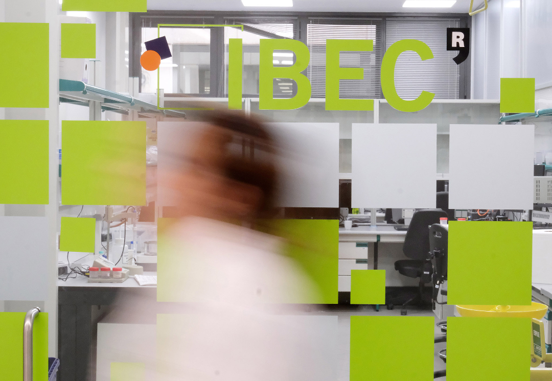iCERCA's tweet photo. #SomCERCA | 🔬 L’IBEC cerca nova direcció en una convocatòria internacional.
✔️ Perfil amb excel·lència científica, visió i capacitat de gestió.
📅 Termini: 20/07/2026
👉 Impulsa la recerca i comparteix l’oportunitat! 🌍
🔗 https://t.co/Qpsj9gVbhO

#Recerca #Talent #Joboffer https://t.co/yjmHERn4sN