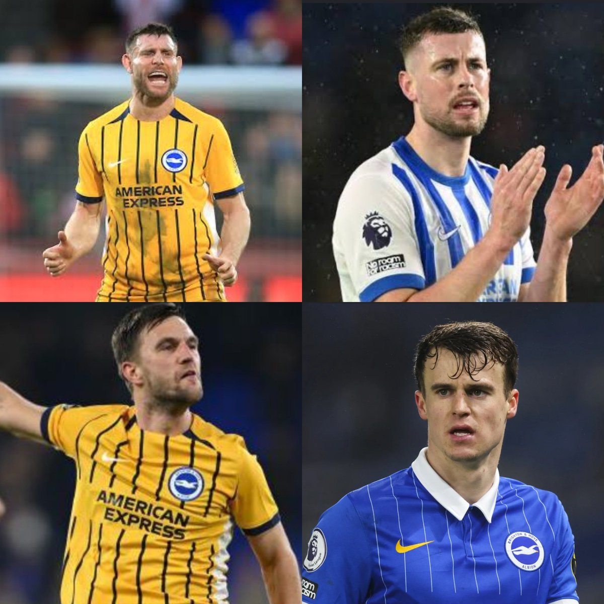 Brighton Albion Fans tweet media