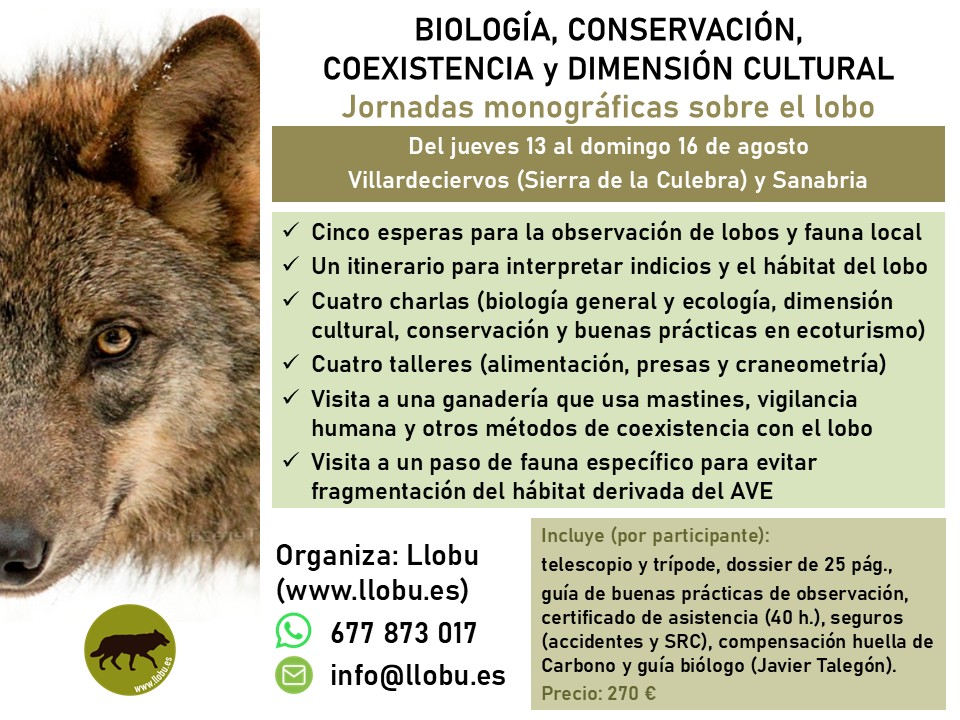 info_llobu's tweet photo. Desmontar bulos con argumentos del conocimiento científico, demostrar que la coexistencia con la ganadería es posible y promover la divulgación y el rigor sobre el #lobo son algunos de los objetivos de estas jornadas. https://t.co/2mwKEQsgSR https://t.co/J1U6A897LG