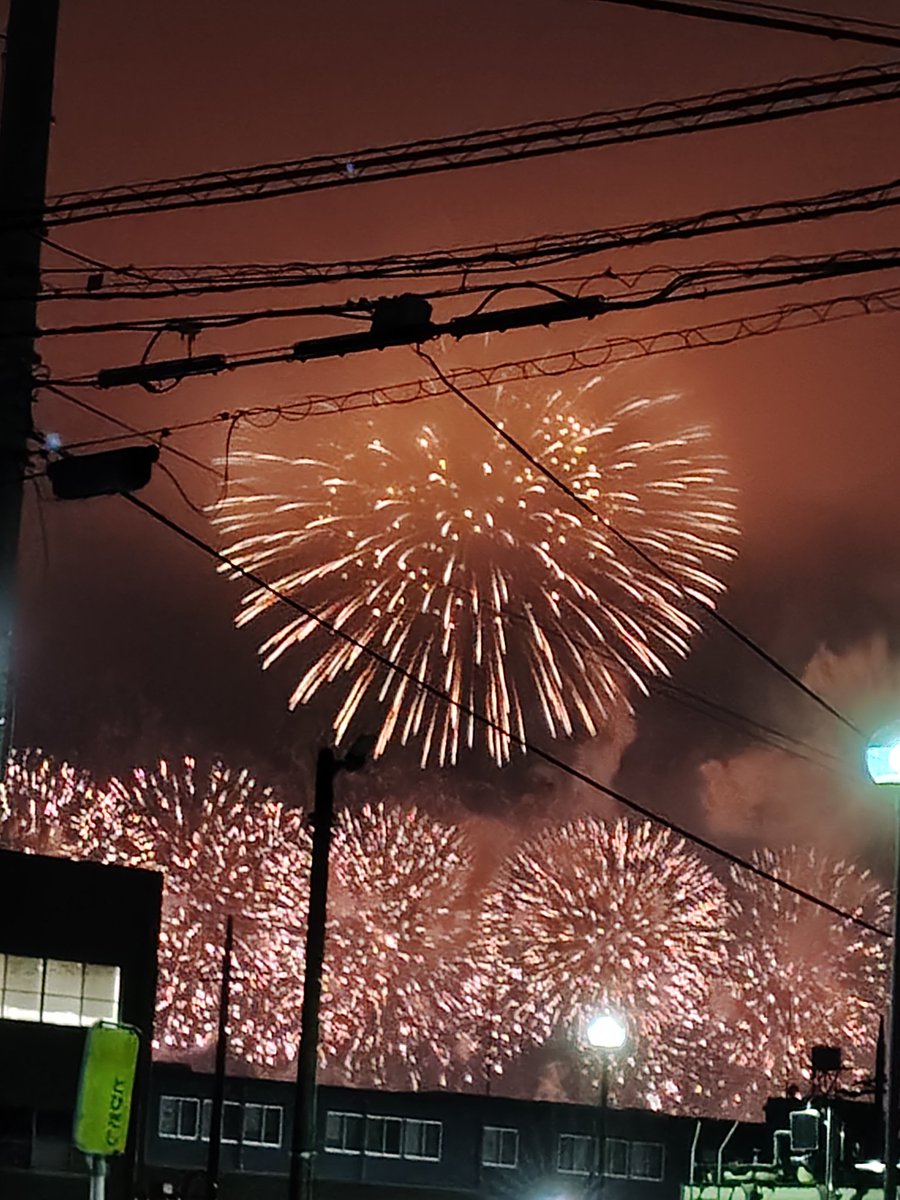 pine_bell tweet picture