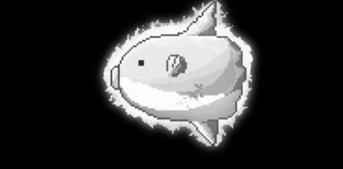 Madayooooooooo's tweet photo. (言えないなぁ……マンボ王好きって言っておきながら激レアのマンボウは持っていないことなんて……) https://t.co/DGhrYV7s4H