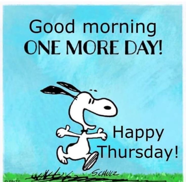 snoopyandfrien6's tweet photo. Good morning 
ONE MORE DAY
Happy Thursday! https://t.co/jLbgYRY0zr