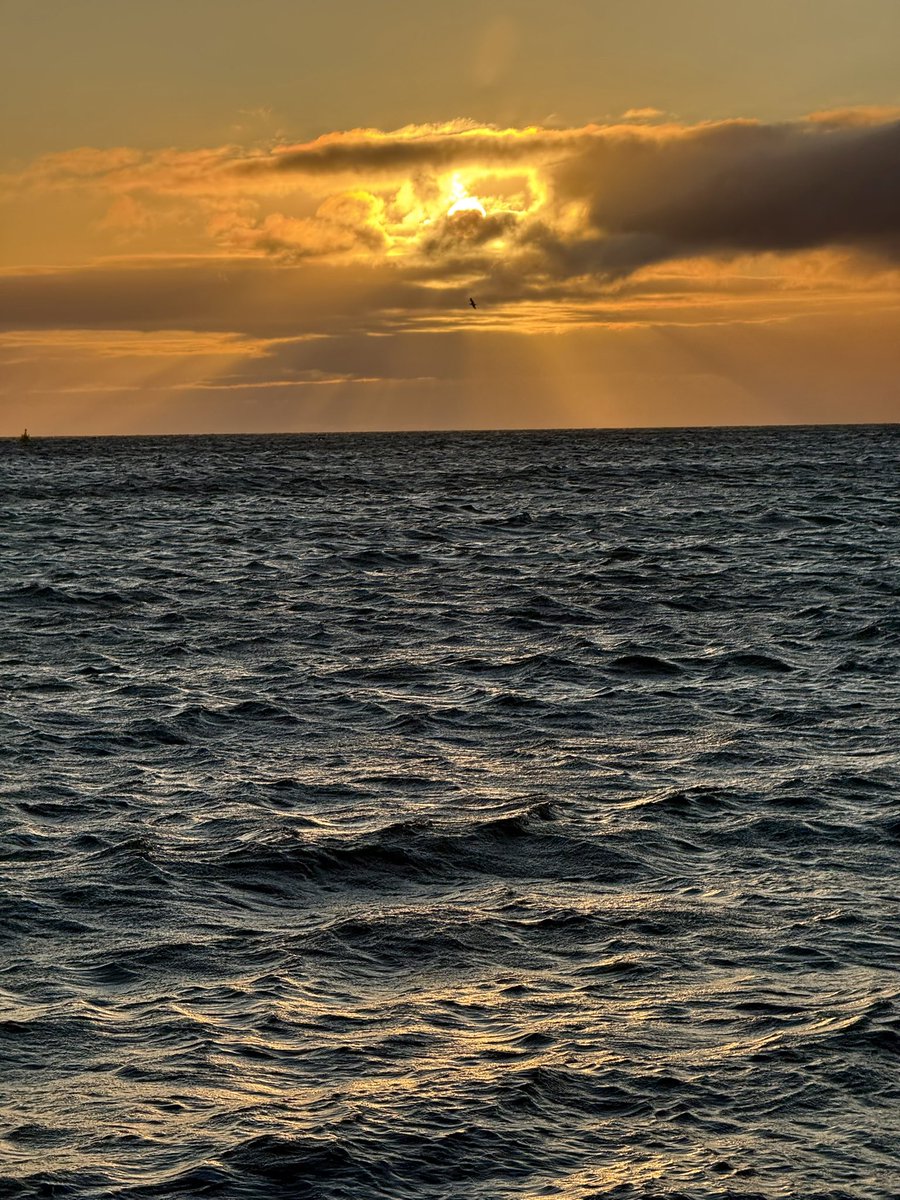 MarcD_Weegem's tweet photo. Thursday. I’m tired but the wind is playful and the light so bright.
Gives me energy.
Be well, friends.
.
#ireland #stormhour #ThePhotoHour #sunrise #wicklow #dogsofx #greystones #irelandsancienteast #KeepDiscovering https://t.co/E5BKcnVwog