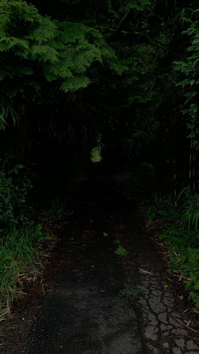 takumi_trush's tweet photo. 雰囲気ありすぎる道 https://t.co/q9hbUJWYoo