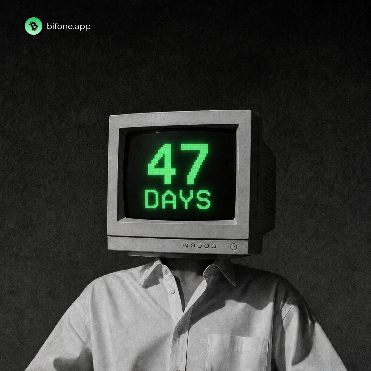 bitfoneapp's tweet photo. Bitfone app - 47 days left.

▪️Don't miss to log in daily until 19.08 to gain access.

Drop your BIT-20 address in the comments and win double booster to your daily mining.

🔍Explore our testnet at https://t.co/eRvyAEUvTG https://t.co/wJLQMciyVO