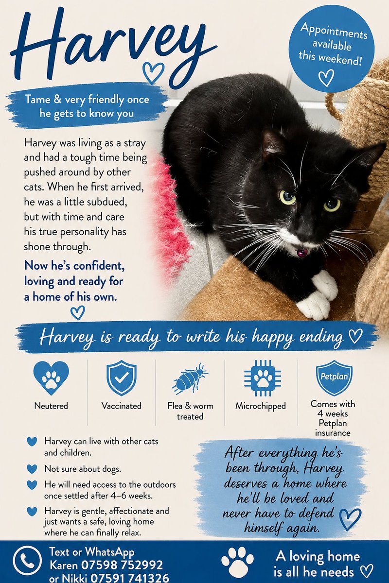 newstartcats1's tweet photo. https://t.co/cacrp95F8V