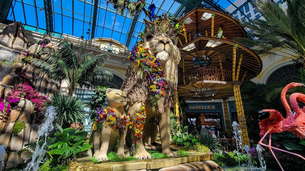 vegasguidepro tweet picture