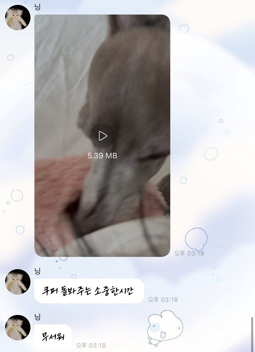 인더 tweet media